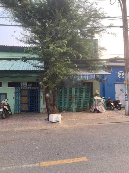 Bán nhà 1 tầng mặt tiền Đường Tùng Thiện Vương, Phường 11, Quận 8, Hồ Chí Minh